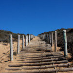Baker Beach Sand Ladder